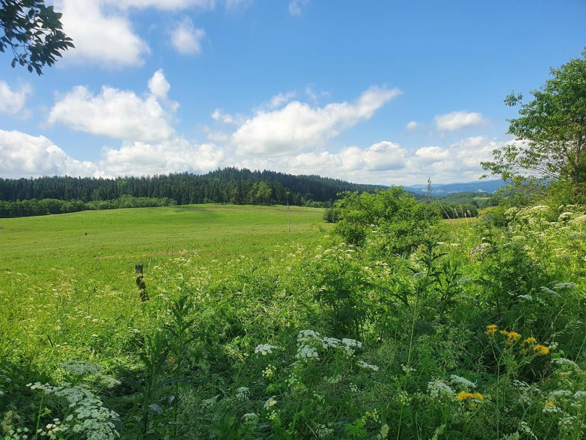 Chalupa Pasečná Přední Výtoň Exteriér fotografie