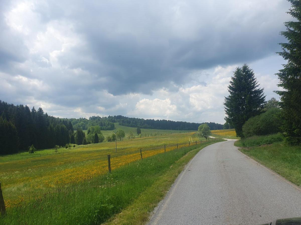 Chalupa Pasečná Přední Výtoň Exteriér fotografie